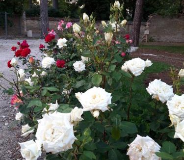 Chorey-les-Beaune House | Le Clos des Roses