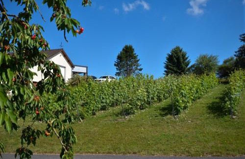 Vaudemange Bed & Breakfast | Le Clos du Moulin