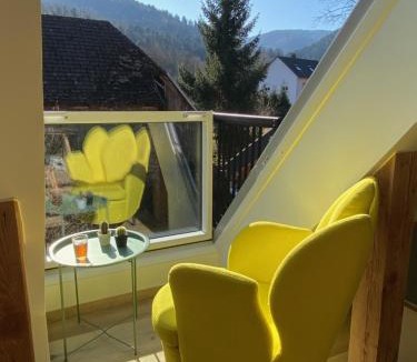 Sewen Apartment | Le clos du moulin - Studio loft aux pieds des Vosges