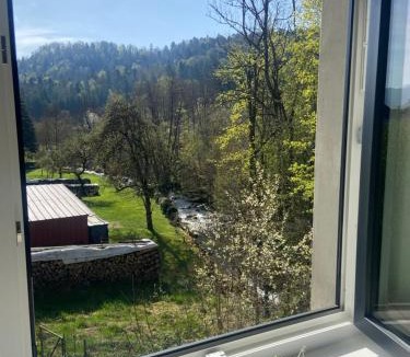 Sewen Apartment | Le clos du moulin - Studio loft aux pieds des Vosges