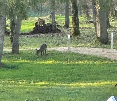 Sermaise Apartment | Le Clos du Renard