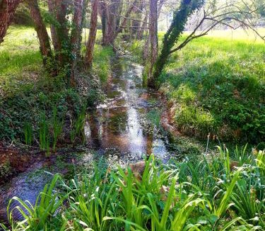 Castels Apartment | Le clos Du Roc Rouge
