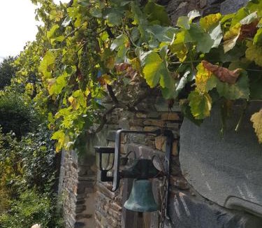 La Gacilly Bed & Breakfast | Le clos du Tay