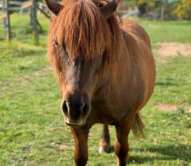 La Gacilly Bed & Breakfast | Le clos du Tay