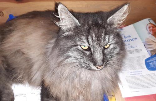 La Gacilly Bed & Breakfast | Le clos du Tay