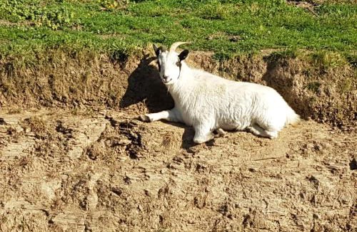 La Gacilly Bed & Breakfast | Le clos du Tay