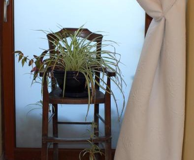 Bois-le-Roi Bed & Breakfast | Le Clos Fleuri