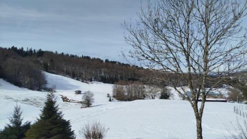 Hotonnes Apartment | Le clos perché