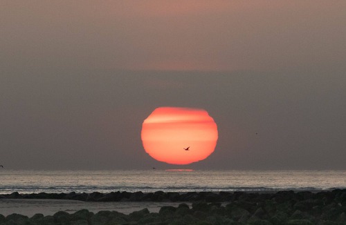 Groffliers Other | Le Clos Saint Joseph - Authie Bay