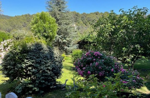 Le Beausset Bed & Breakfast | Le Clos Serein