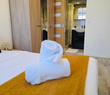 Fleury-les-Aubrais Apartment | Le Cocon Bright Large TV Free parking