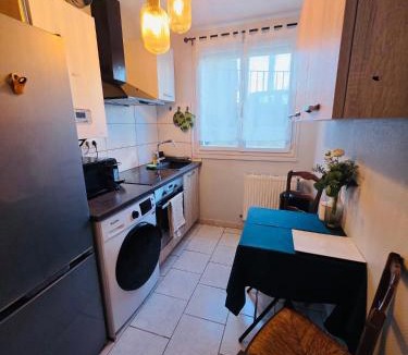 Fleury-les-Aubrais Apartment | Le Cocon Bright Large TV Free parking