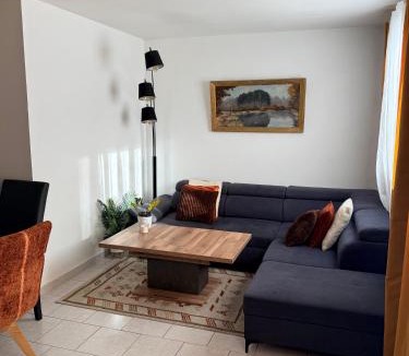 Fleury-les-Aubrais Apartment | Le Cocon Bright Large TV Free parking