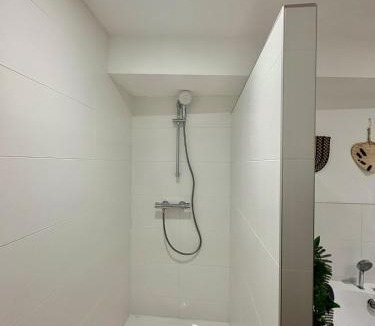 Roanne Apartment | Le Cocon Central avec Balnéo