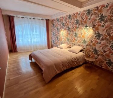 Commercy Apartment | Le Cocon Commerçien