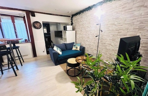 Orleans Apartment | Le Cocon Croix de la Pucelle - Right in the city