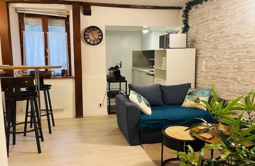 Orleans Apartment | Le Cocon Croix de la Pucelle - Right in the city
