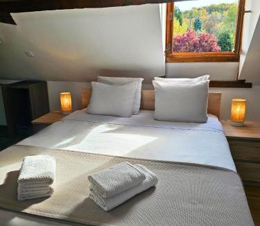 Saint-Yrieix-la-Perche Bed & Breakfast | Le Cocon - Domaine du Vertendre