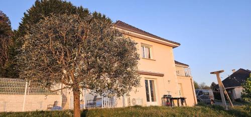 Beynat Apartment | Le Cocon de Beynat - 1 Chambre