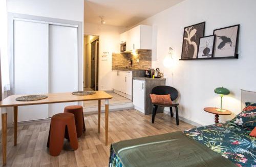 Les Cordeliers Apartment | Le Cocon de Cordeliers