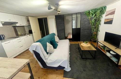 Grenoble City Centre Apartment | Le Cocon de la Bastille - DaLoc