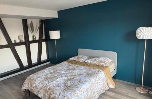 Krutenau Apartment | Le cocon de la Krutenau