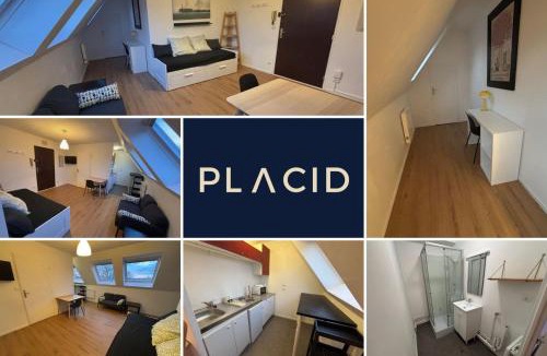 Douai Apartment | Le Cocon Douaisien, Appartement 28 m² centre Douai
