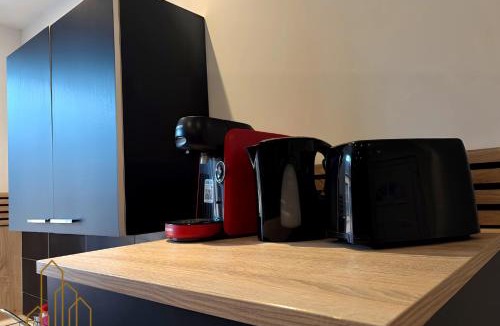 Roanne Apartment | Le Cocon Rollin - Moderne & Confort