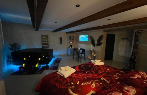 Lunel Hotel | Le Cocon SPA Évasion Privée - jacuzzi -