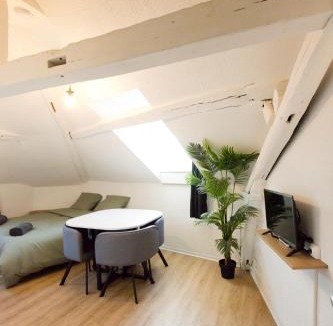 Centre Ville Apartment | Le Cocon : studio en Hypercentre Cathédrale