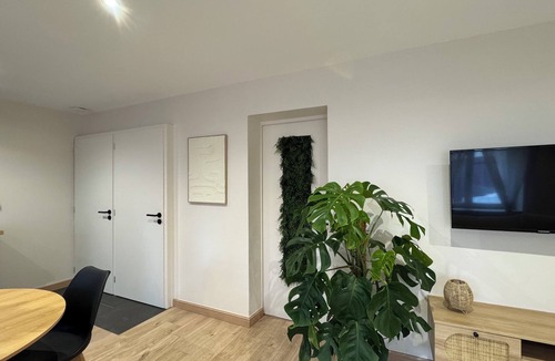 Fresse-sur-Moselle Apartment | Le Cocon Vosgien