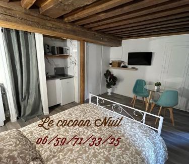 Nuits-Saint-Georges Apartment | Le cocoon Nuits