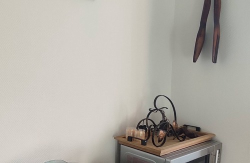 Aureilhan Apartment | Le Cocooning