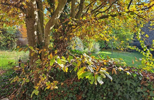 Meaulne-Vitray Hotel | Le coeur de meaulne