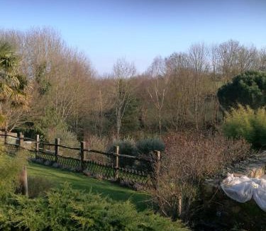 Sevremoine House | le coing