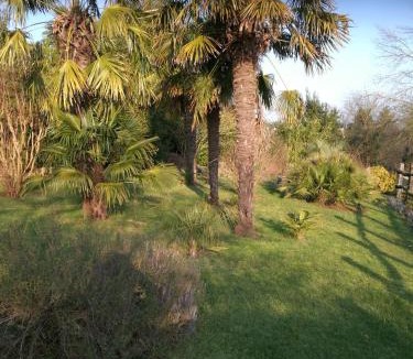 Sevremoine House | le coing