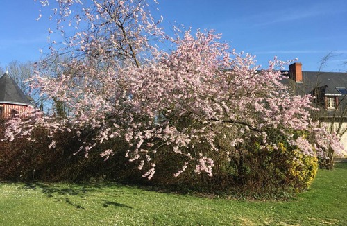 Caux Seine Agglo House | le colombier de Royaumont