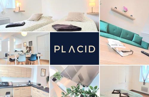 Beauvais Apartment | Le Commercy - En Hyper Centre Et Très Spacieux