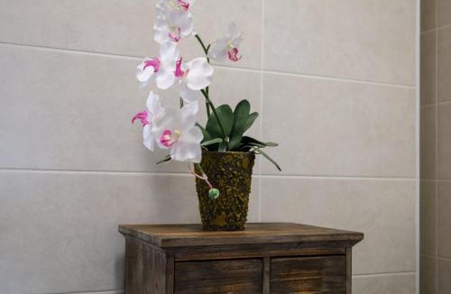 Amberieu-en-Bugey Apartment | Le Contemporain