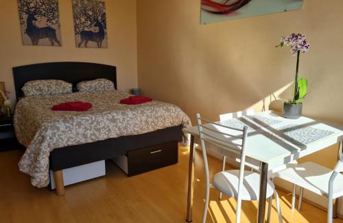 Vittel Apartment | Le Continental