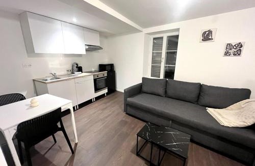 Clermont-Ferrand Apartment | Le Contrasté