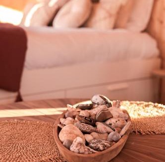 Luc-sur-Mer House | Le coquillage, la clef des paons