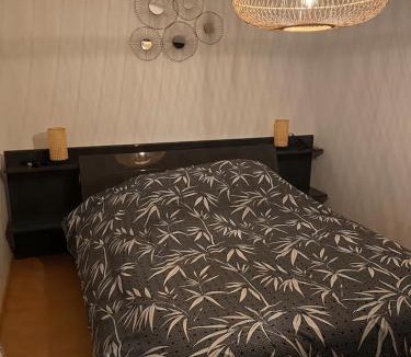 Raon-l'Etape Apartment | Le Cosi Vosgien Appartement familial au centre de