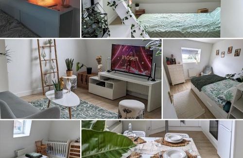 Croix Apartment | Le cosy botanique