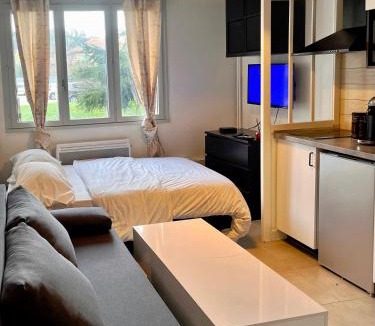 Feyzin Apartment | Le Cosy, charmant studio