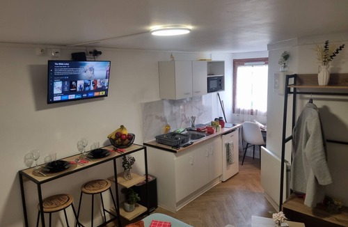 Triolo Apartment | Le Cosy d'or Stade P. Mauroy free parking