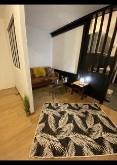 Mont-de-Marsan Apartment | Le cosy de Tom
