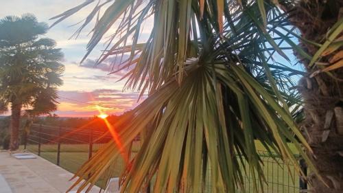 Meyrals House | Le cosy