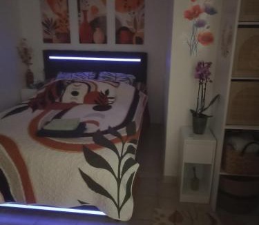 Saint-Maurice-de-Beynost Apartment | Le Cosy chic