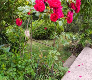 Sebourg House | Le cottage de Cassandre